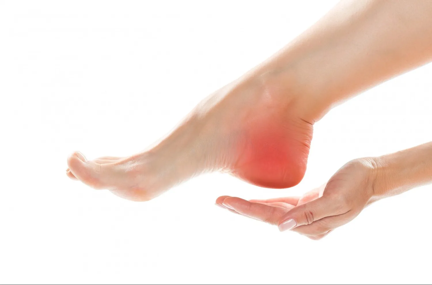 Heel Pain Orthopedic Doctor in Nagpur – suyog hospital