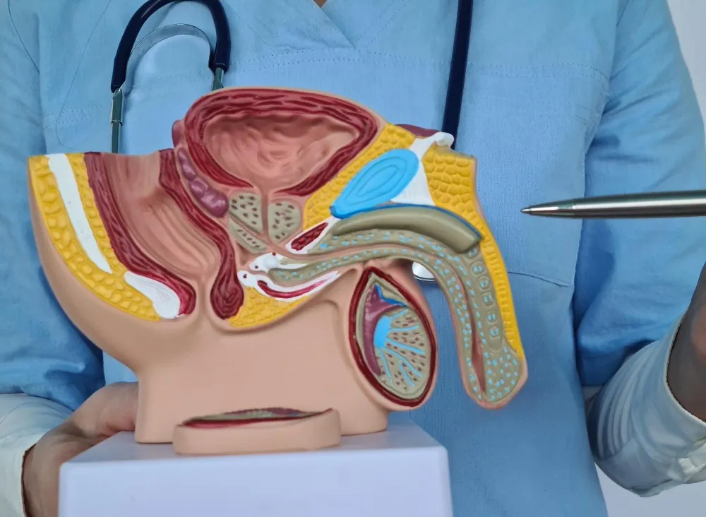 Prostate Surgery Specialist in Belapur – Trusted Urology Care