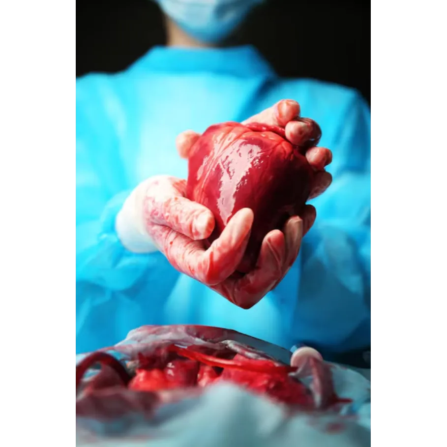 Coronary Bypass Surgery in Pune – Restoring Healthy Blood Flow