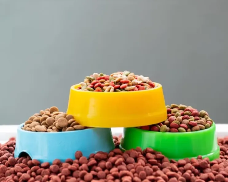 Grain Free Pet Food in Goregaon, Mumbai – Balanced Nutrition Beyond Basics