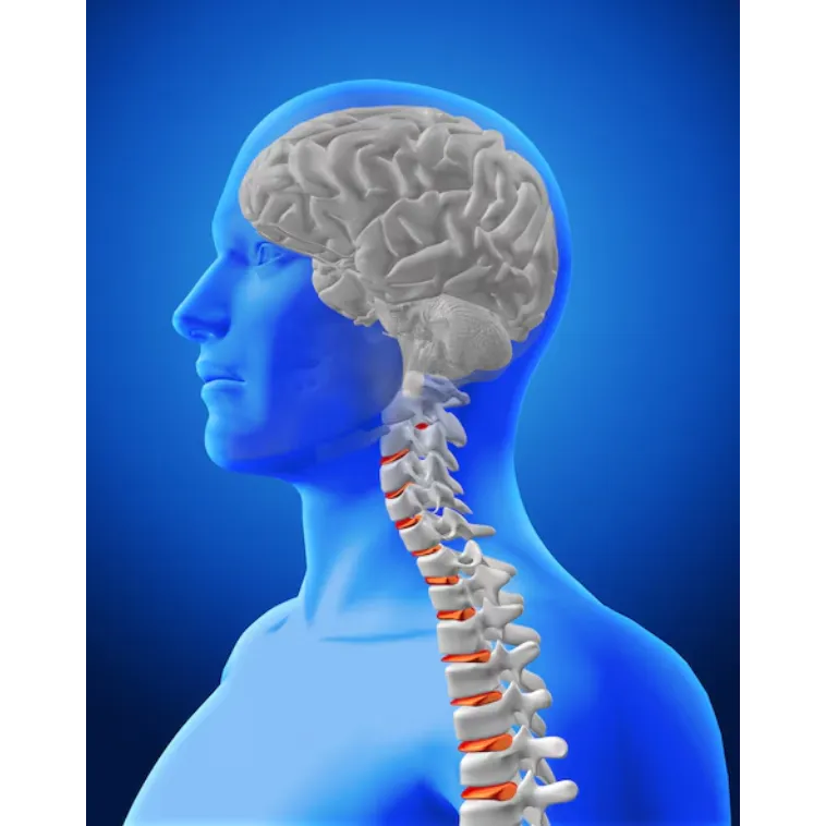 Neurosurgeon Brain and Spine in Pune – Your Partner in Recovery