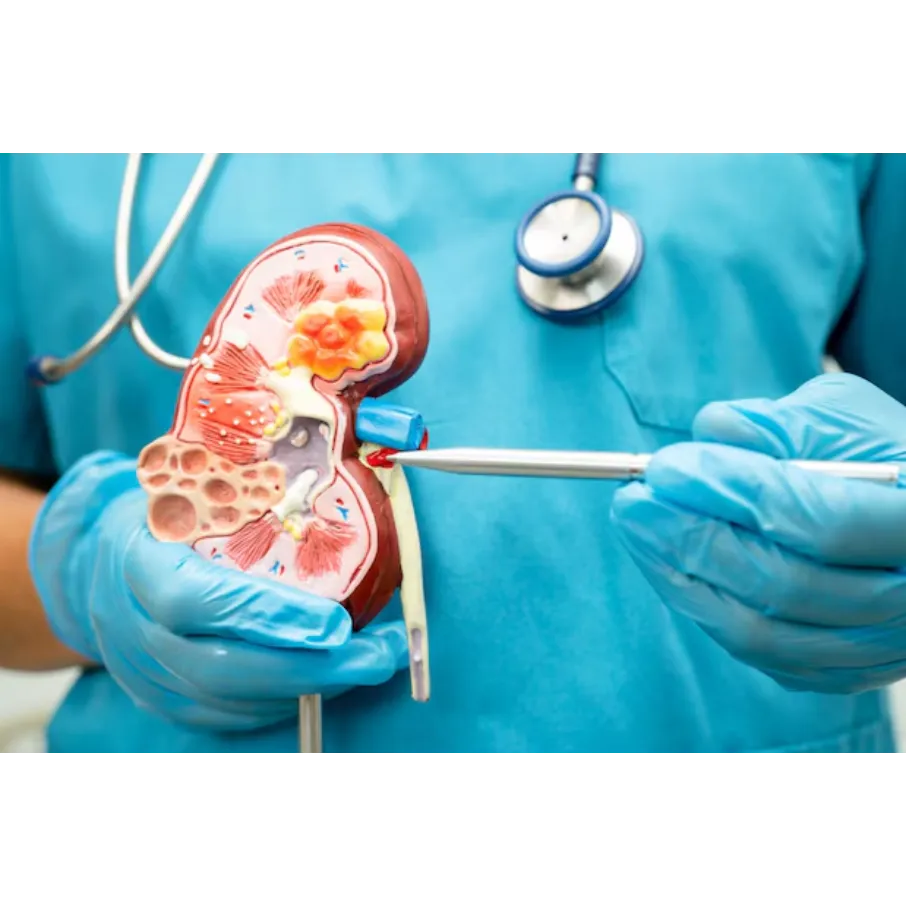 Kidney Stone Removal in Thane – Minimally Invasive Solutions