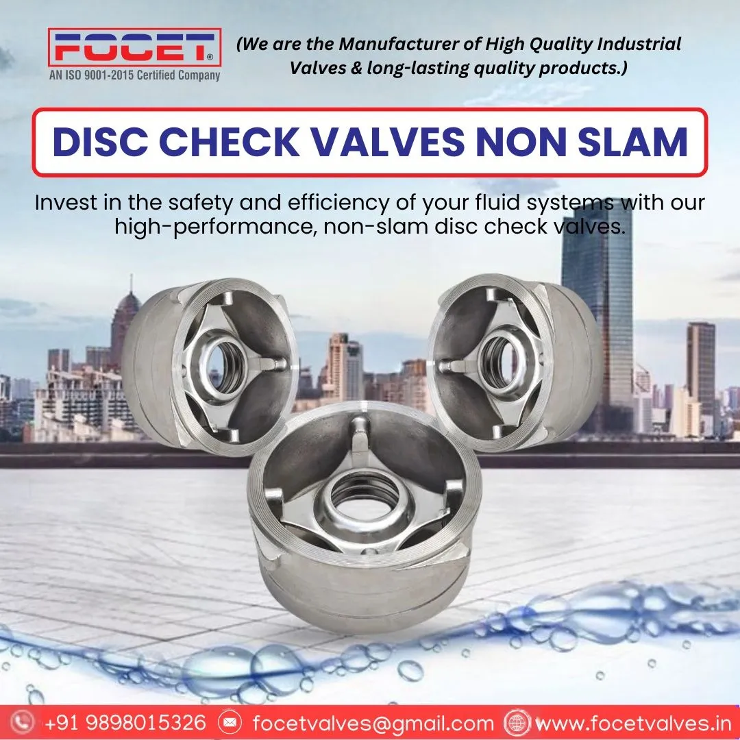 Best Disc Check Valve Non Slam Manufacturers in India.
