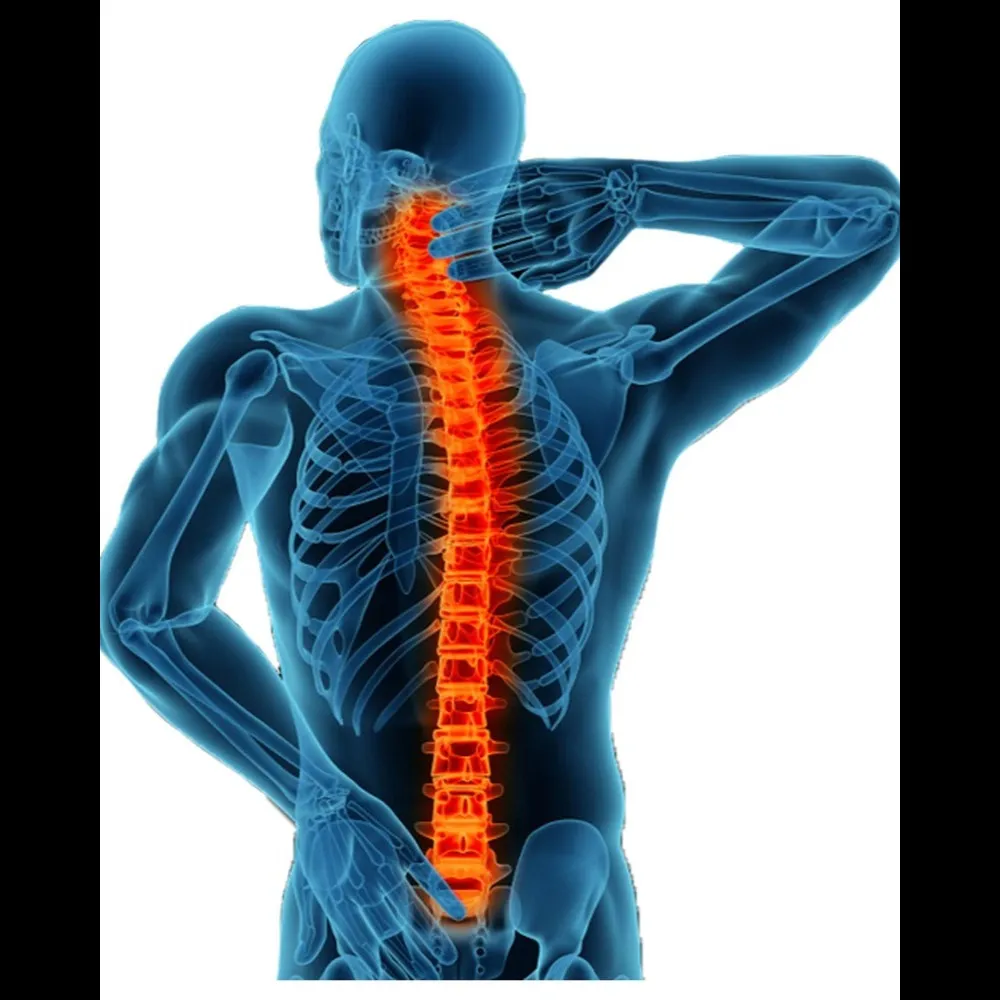 Spine Specialist Orthopedic Doctor in Nagpur – Comprehensive Back Care