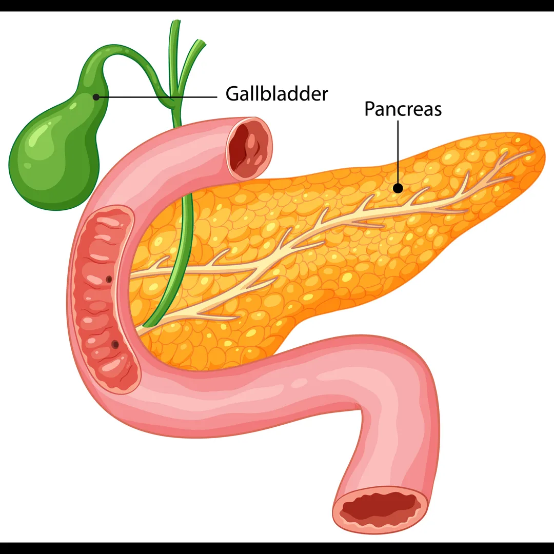 Trusted Gallbladder Stone Surgery in Thane