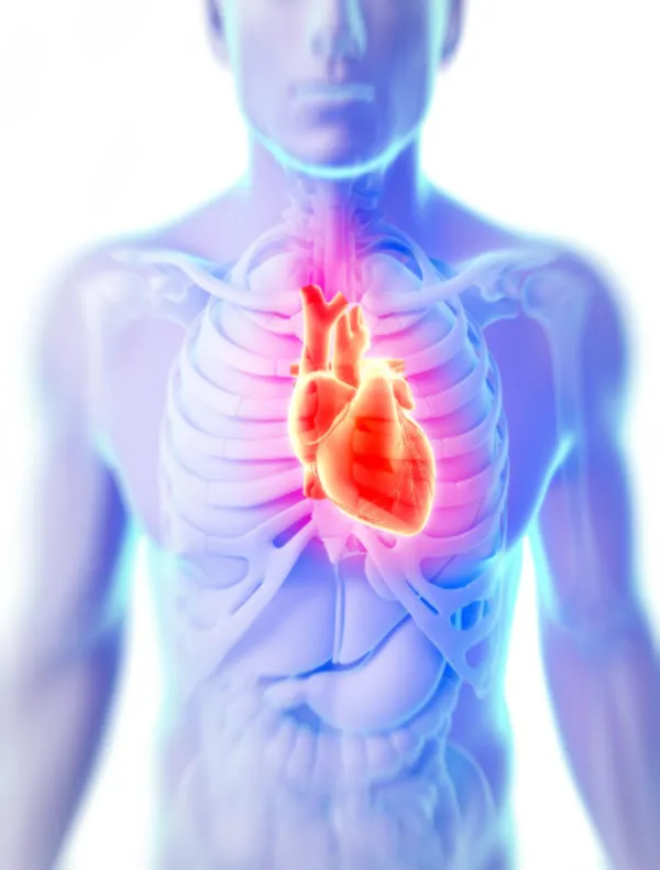 Valve Related Operations in Pune – Precision Cardiac Care