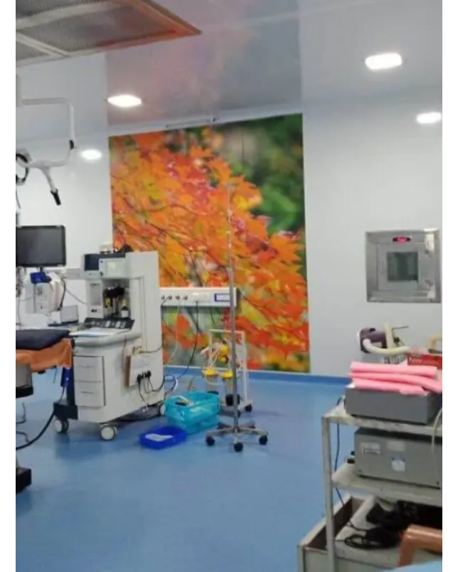 Modular IVF OT and IVF Lab