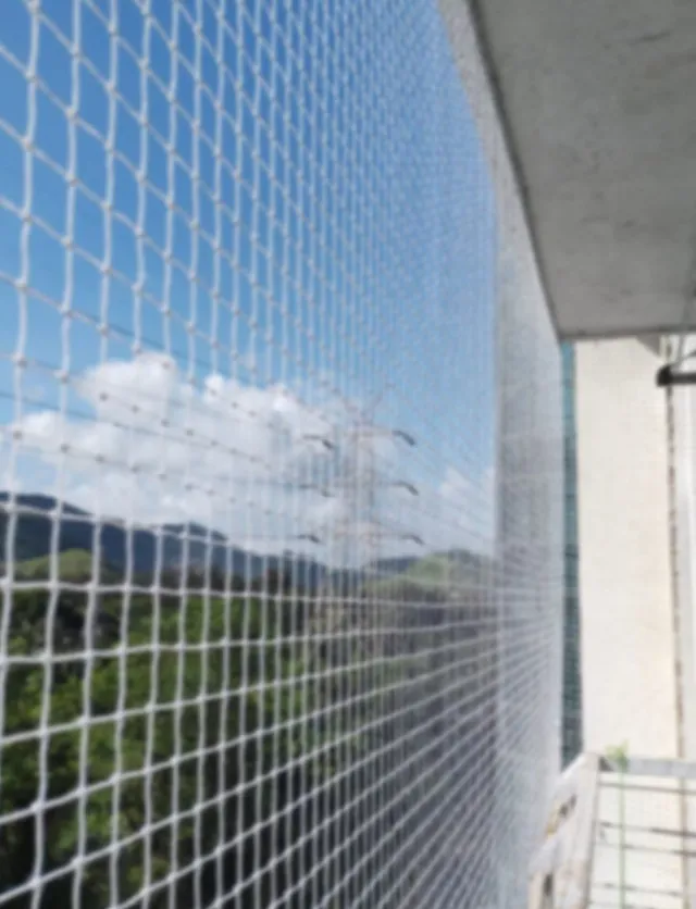 Bird Net in Nagpur – Keeping Spaces Clean and Safe