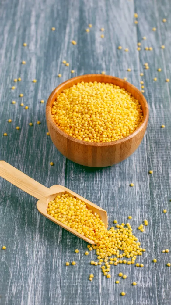 Foxtail Millet in Chennai: A Nutritious Alternative to Refined Grains