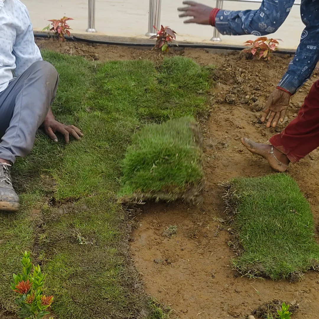landscape work