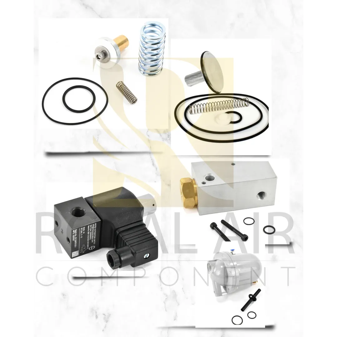 ELGI 8000 HRS VALVE KIT