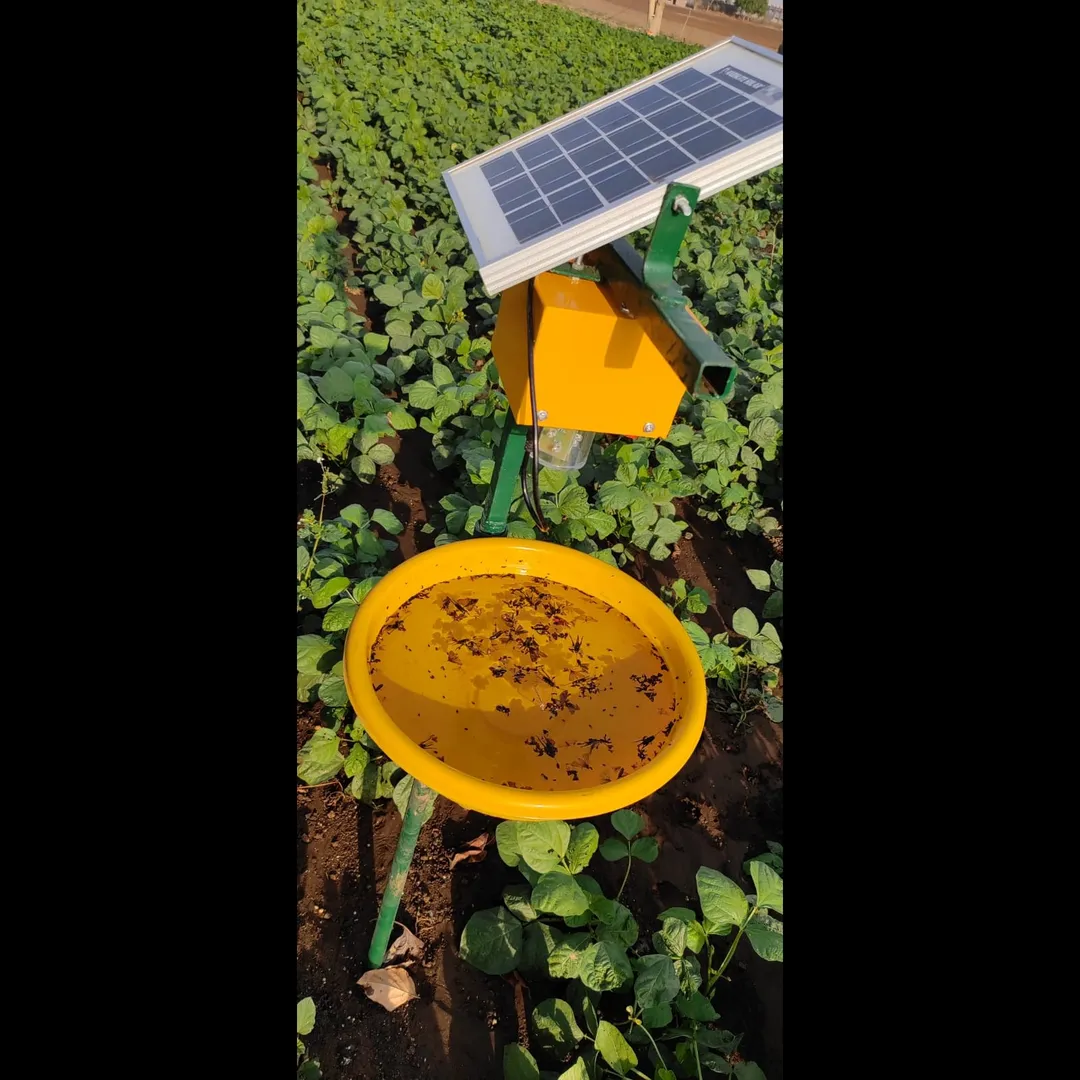 Solar Insect Trap Manufacturer