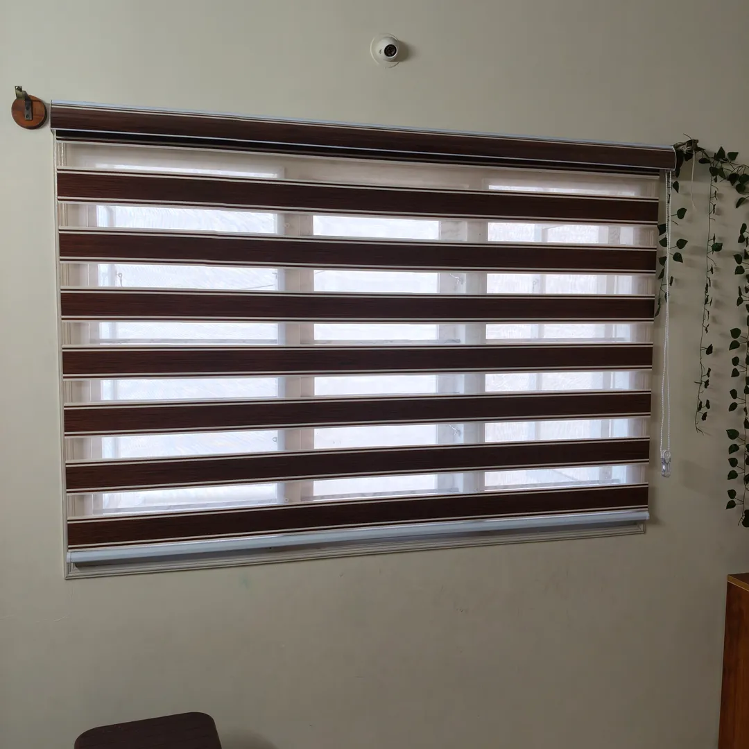 Zebra blinds