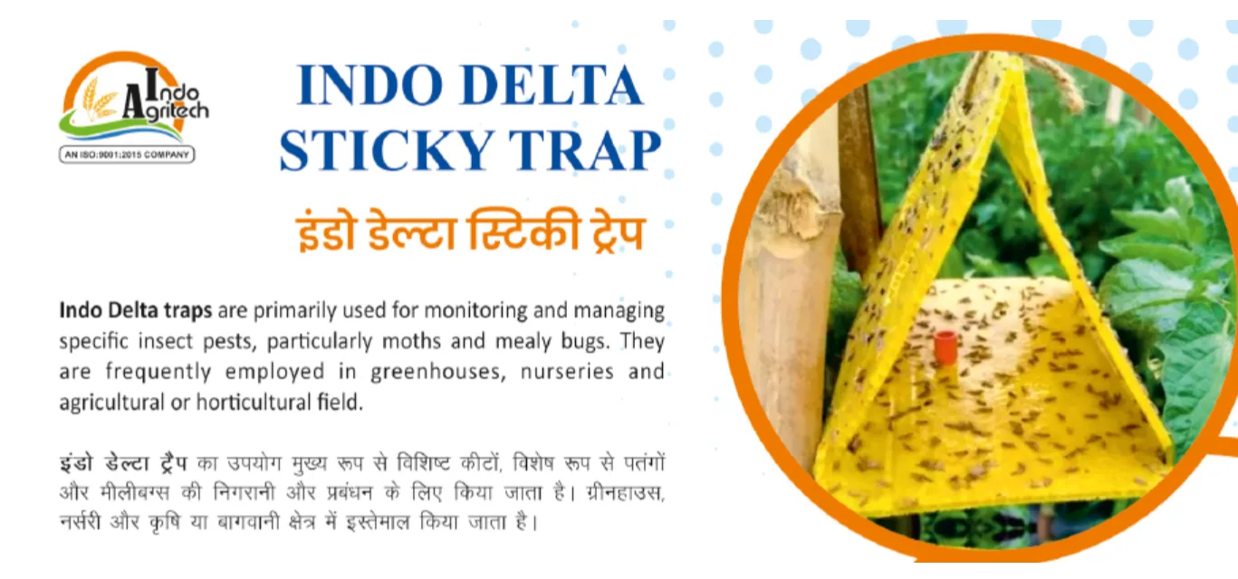 INDO DELTA STICKY TRAP