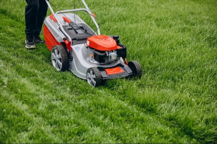 Keep Your Garden Neat with Lawn Mowers in Ghaziabad