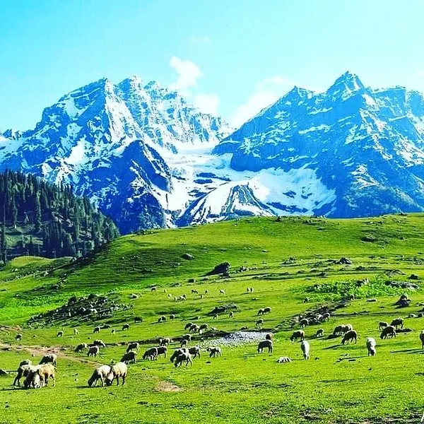 Tourist Places in Jammu & Kashmir
Sonamarg
"Kashmir’s golden meadow and gateway to glaciers"
Sona...