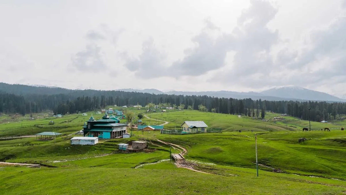 Tourist Places in Jammu & Kashmir
Yusmarg
"Kashmir’s hidden meadow with pine forests and tranquil ...
