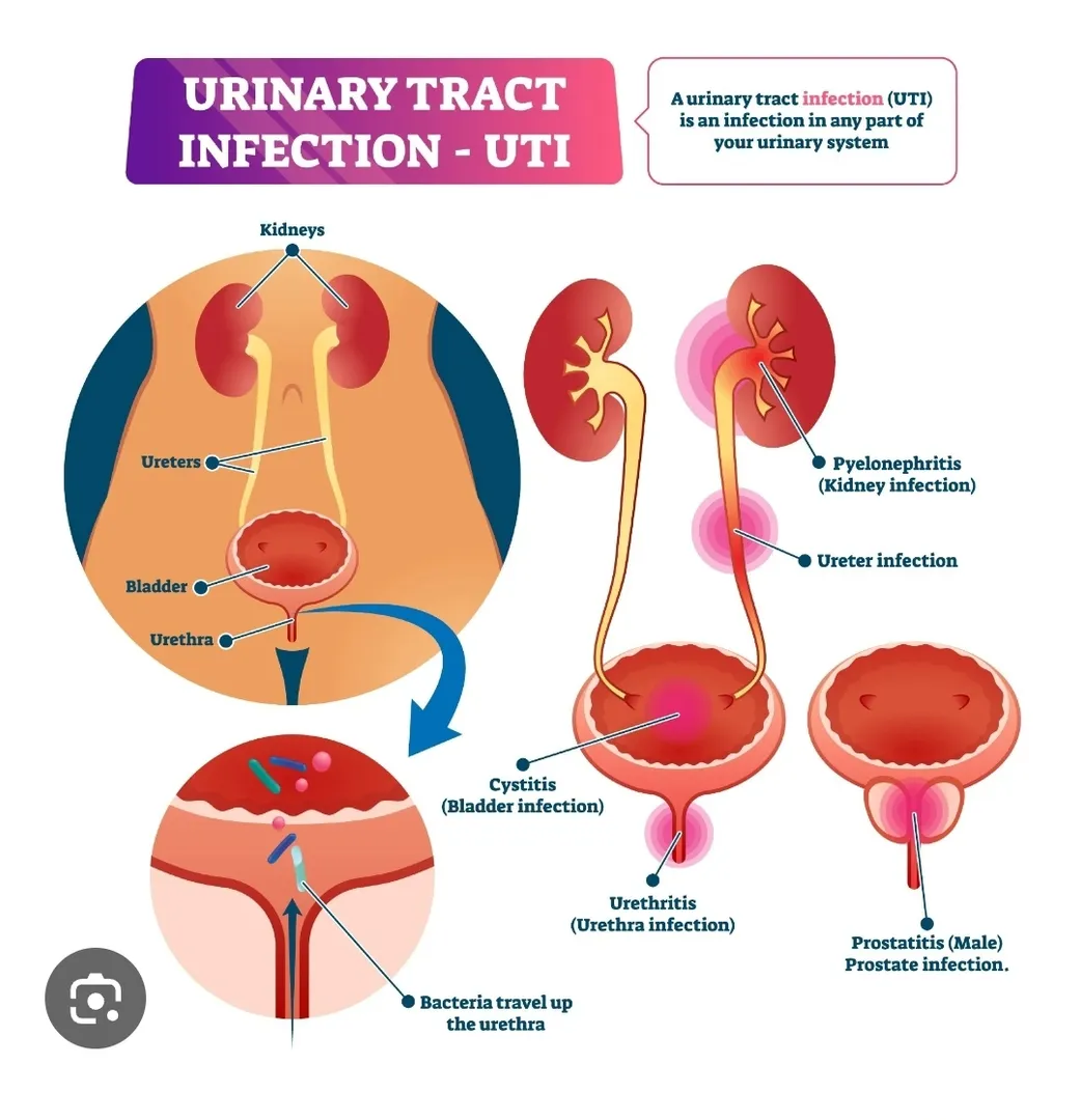 best gynecologist doctor in hadapsar