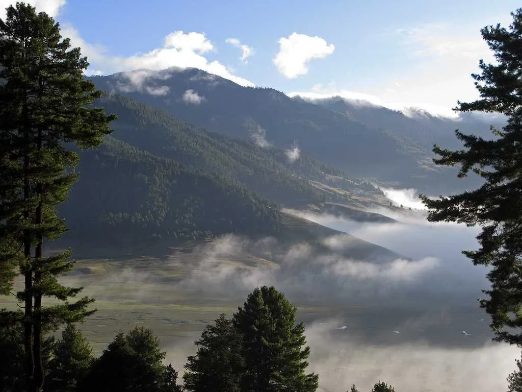 Places To Visit in Bhutan
Phobjikha Valley (Gangtey)
"Bhutan’s glacial valley and black-necked cra...