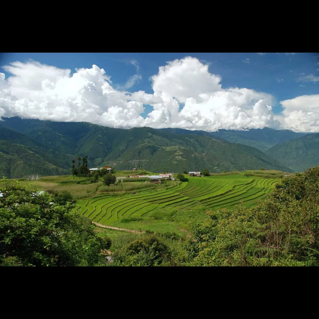 Places To Visit in Bhutan
Samdrup Jongkhar
"Bhutan’s eastern gateway town bordering Assam"
Samdru...