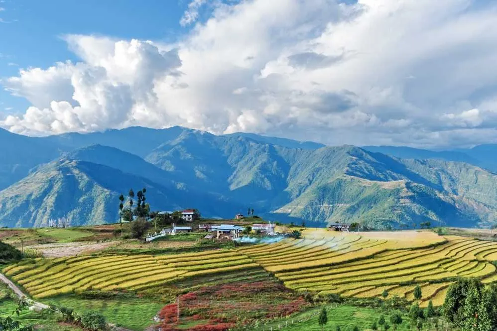 Places To Visit in Bhutan
Trashigang
"Bhutan’s eastern town with fortresses and hillside views"
T...