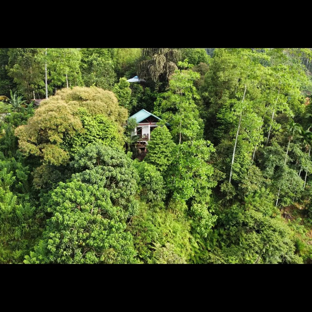 Things To Do in Sri Lanka
Sinharaja Forest Reserve
"Sri Lanka’s lush rainforest UNESCO biosphere"
...