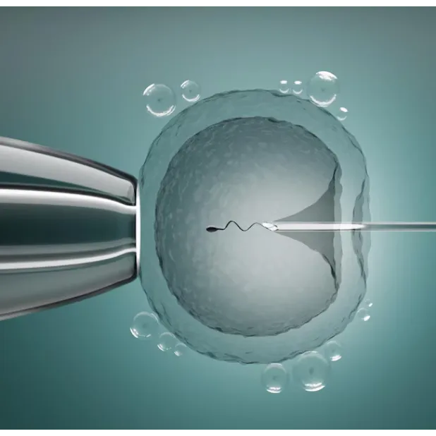 Blastocyst Transfer in Nashik for Higher IVF Success