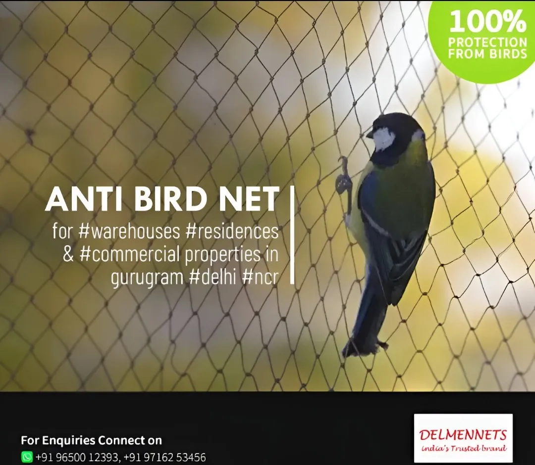 Anti Bird Net Manufacturer and Supplier in Gurgaon