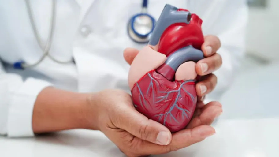 Heart Diseases – Cardiologist in Pimpri-Chinchwad: Expert Cardiac Care