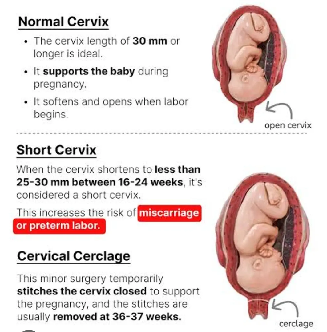 best gynecologist doctor in Hadapsar