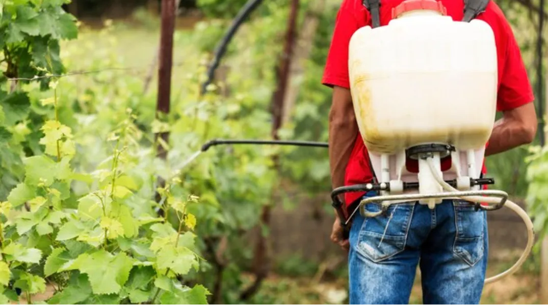 Improve Crop Protection with Battery Operated Sprayers in Ghaziabad