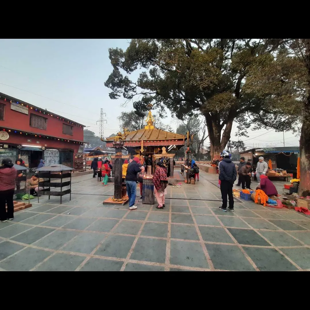 Places To Visit In Varanasi
Swarved Mahamandir Dham
"World’s largest meditation center"
Nestled i...