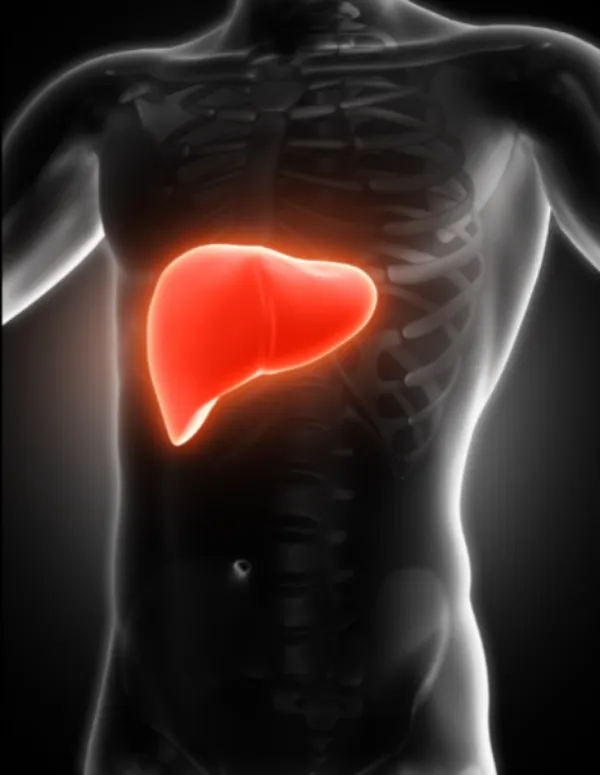 Cirrhosis Symptoms in mumbai