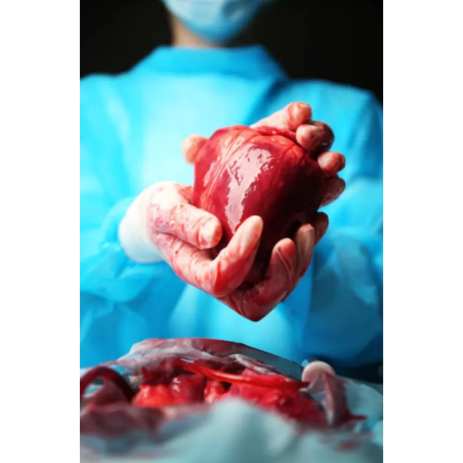 Coronary Bypass Surgery in Pune
