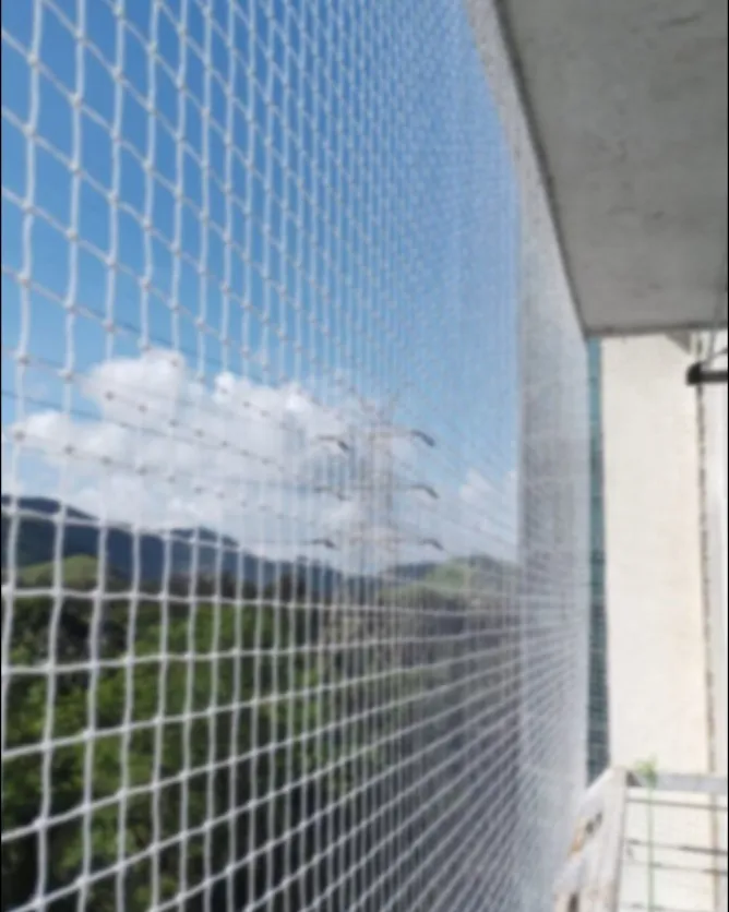 Bird Net in Nagpur – Keep Your Space Hygienic and Bird-Free