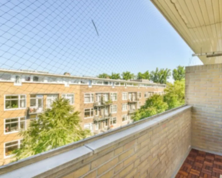 Kabootar Net (Jali) – A Must-Have for Cleaner Balconies