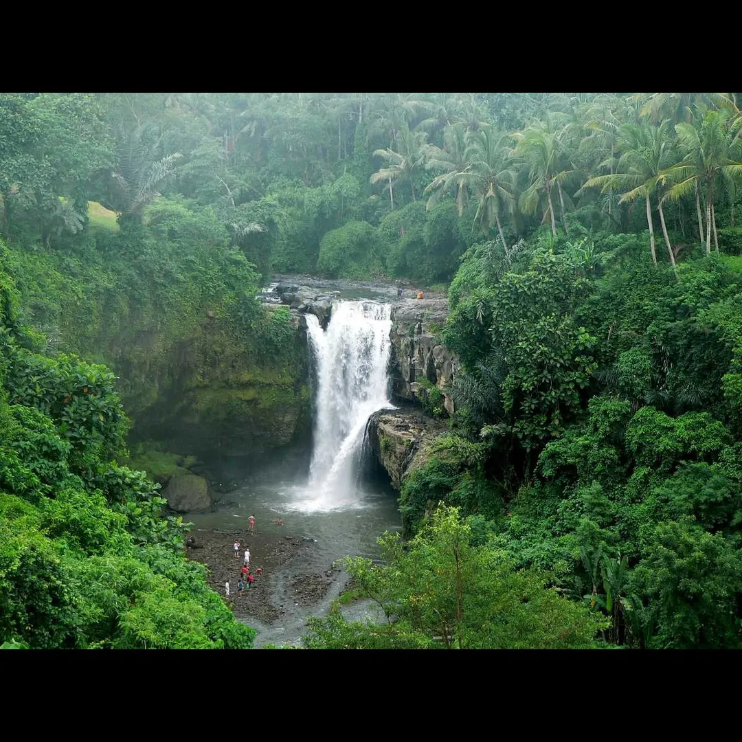 Things To Do In Bali
Tegenungan Waterfall
Tegenungan Waterfall, Bali Overview
Situated in Tegenun...