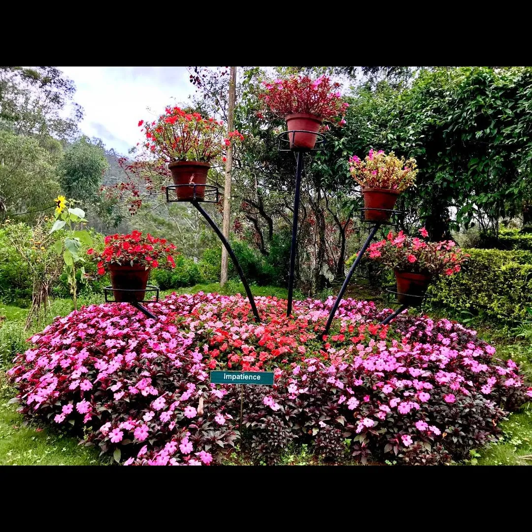 Places To Visit In Munnar
Rose Garden Munnar
Rose Garden, Munnar Overview
The Rose Gardens of Mun...