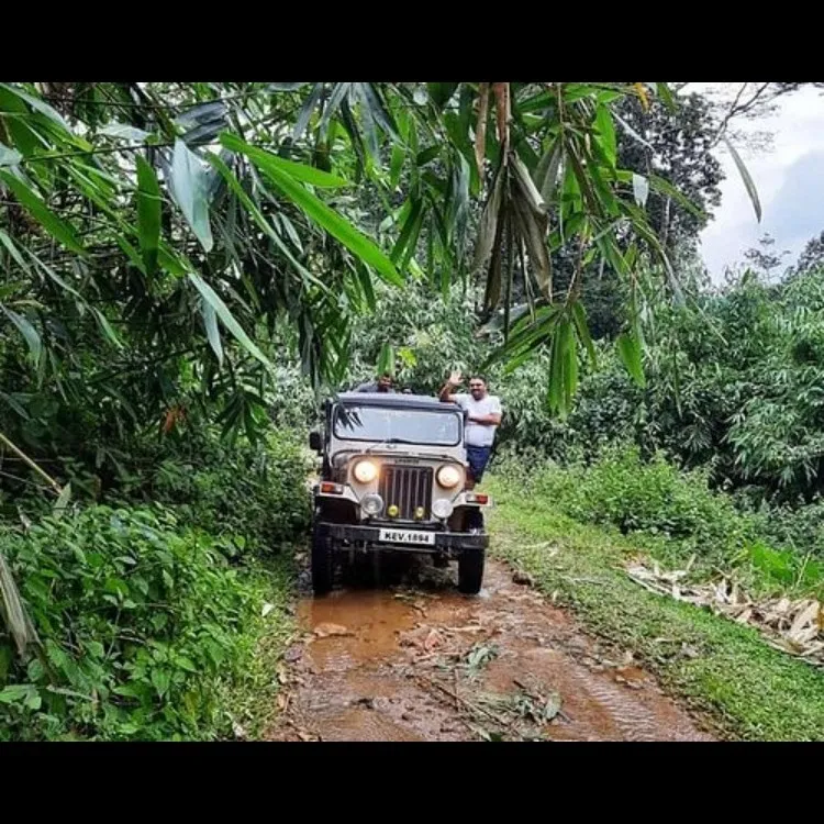 Places To Visit In Munnar
Munnar Jeep Safari
Jeep Safari in Munnar, Munnar Overview
The Jeep safa...