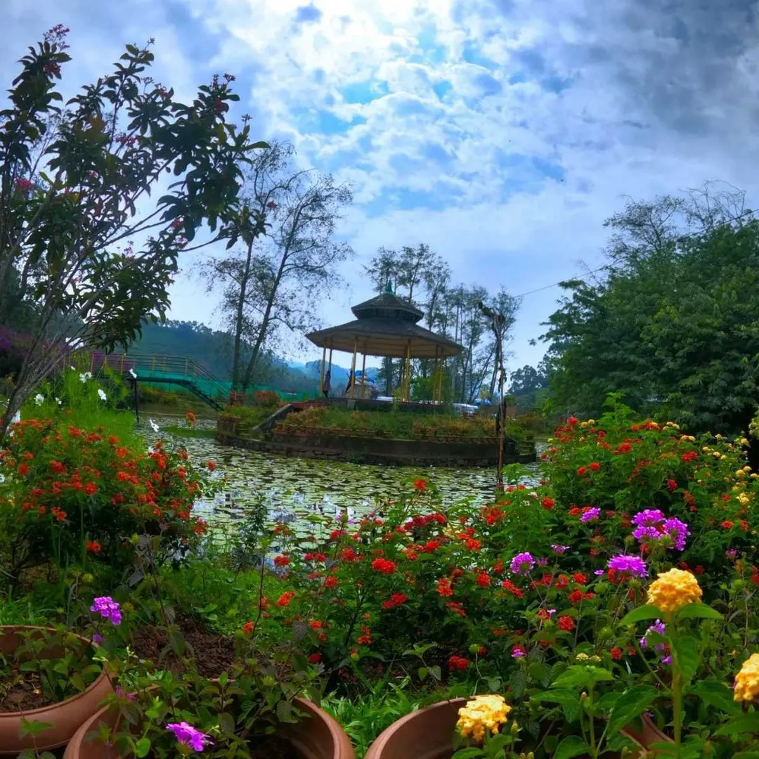 Places To Visit In Munnar
Blossom Park
Blossom Park, Munnar Overview
Blossom Park is a splendid p...