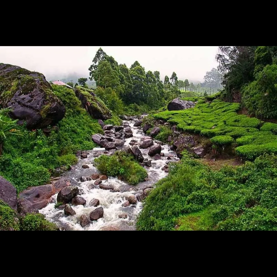 Places To Visit In Munnar
Lakkom Water Falls
Lakkom Water Falls, Munnar Overview
Lakkom Waterfall...