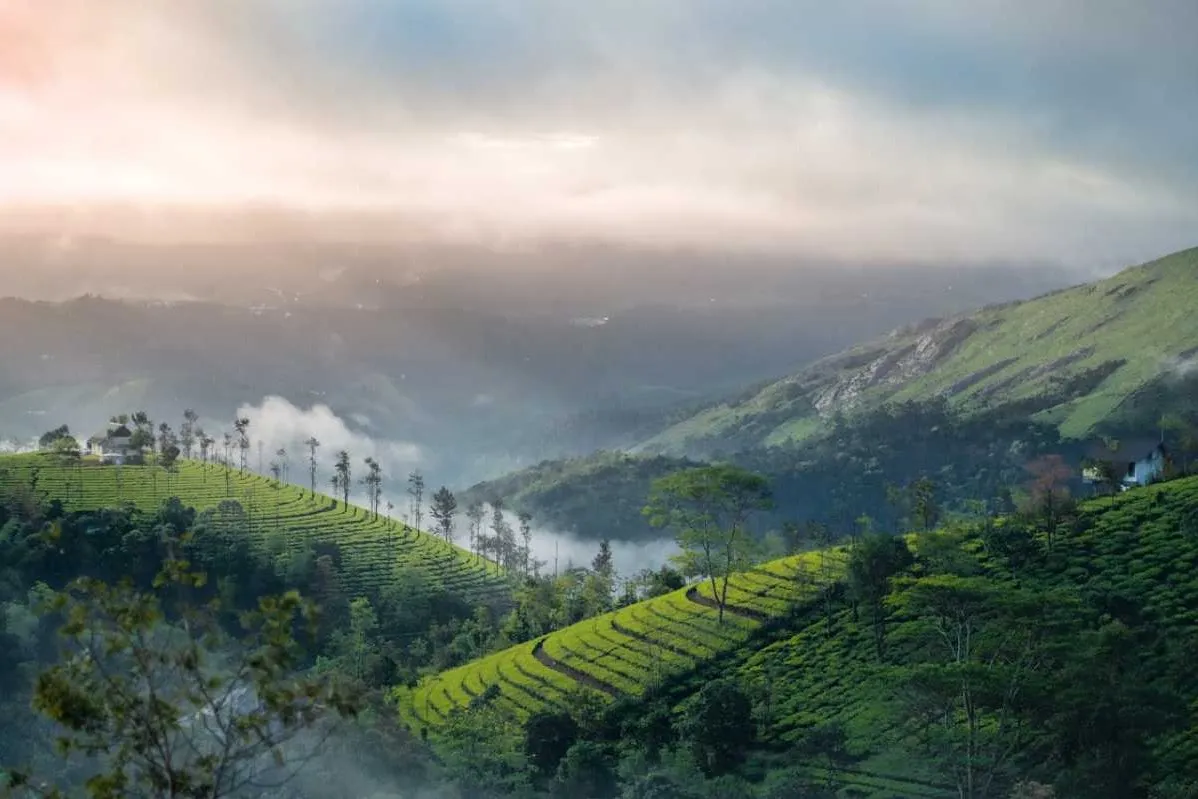 Places To Visit In Munnar
Kundala Dam & Lake
Kundala Dam & Lake, Munnar Overview
Situated in the ...