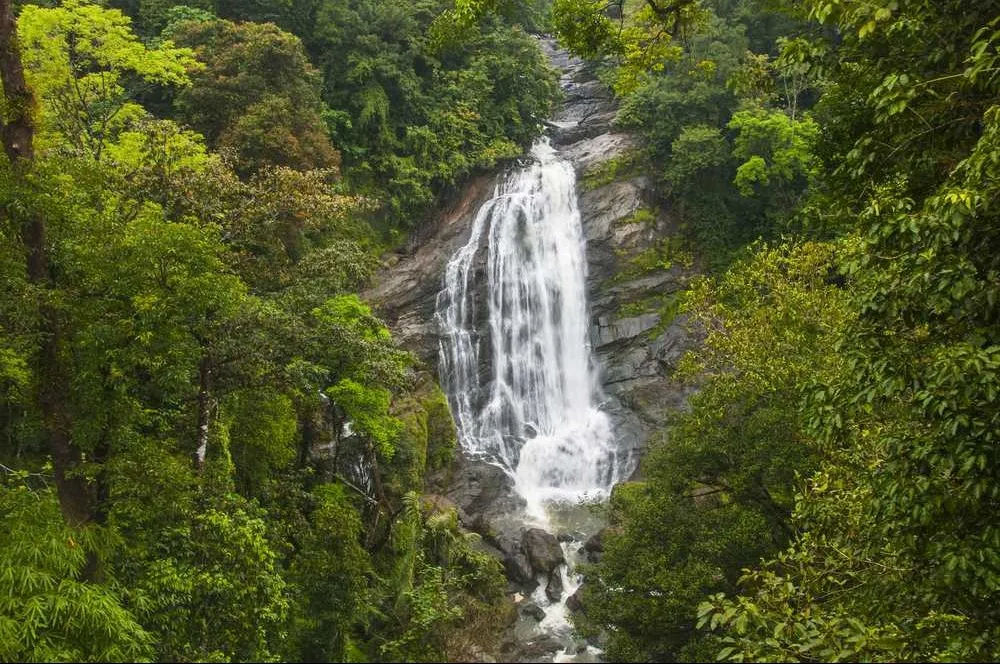 Places To Visit In Munnar
Atukkad Waterfalls
Atukkad Waterfalls, Munnar Overview
Nestled 2 km awa...