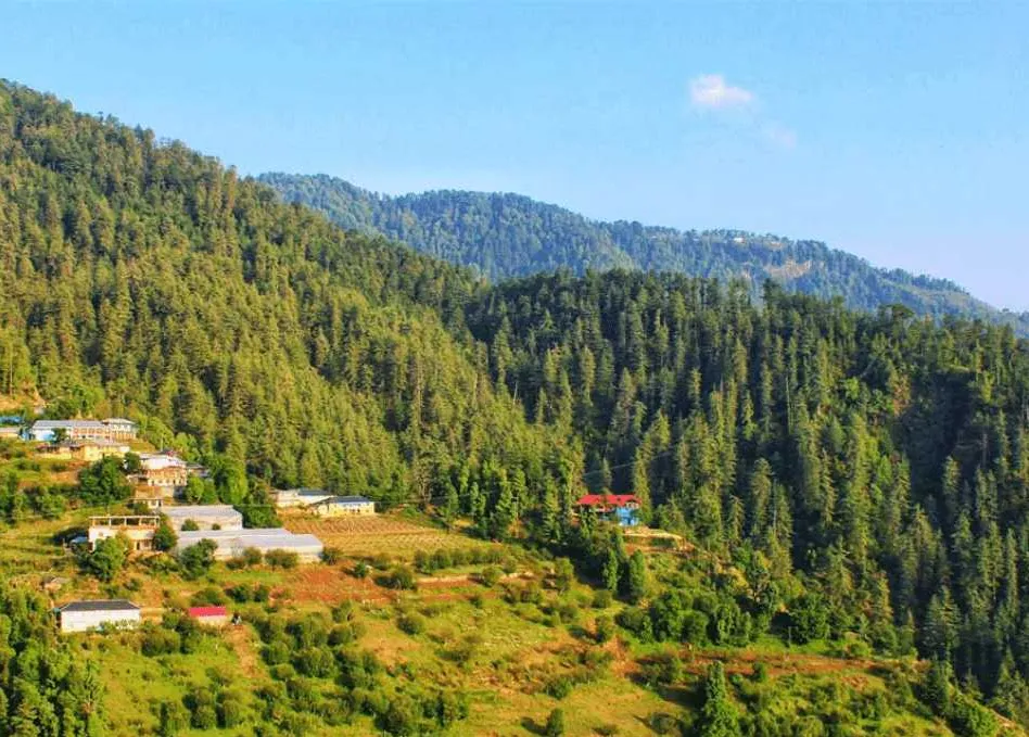 Places To Visit In Shimla
Mashobra
"Himachal’s peaceful hill station near Shimla"
Mashobra is a l...