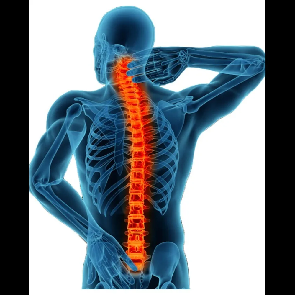 Spine Specialist Orthopedic Doctor in Nagpur – Comprehensive Back Care