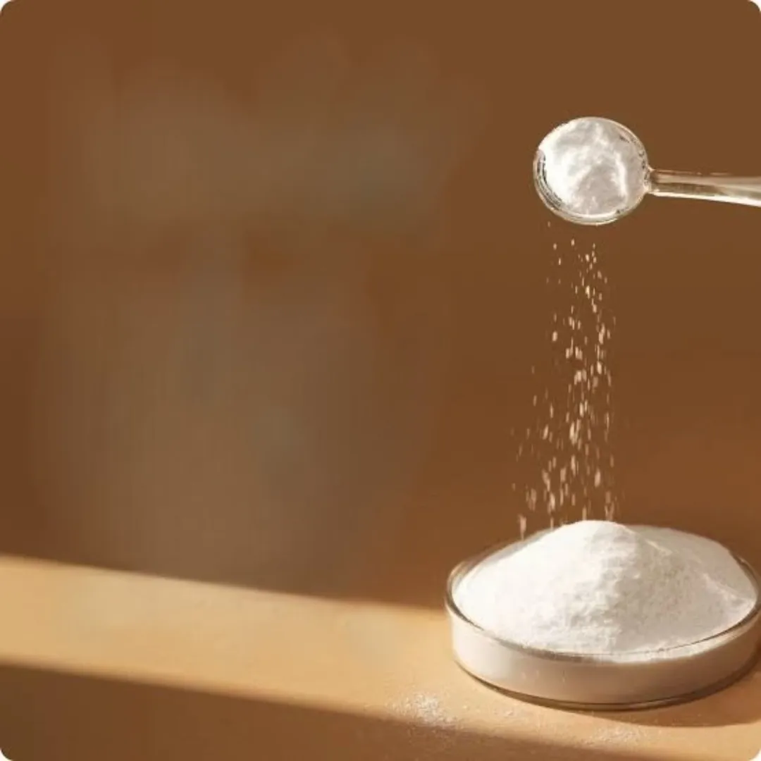 Nutraceutical Raw Materials Supplier In Delhi