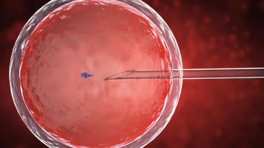 IVF (In Vitro Fertilization) in Nashik – Helping Couples Achieve Parenthood
