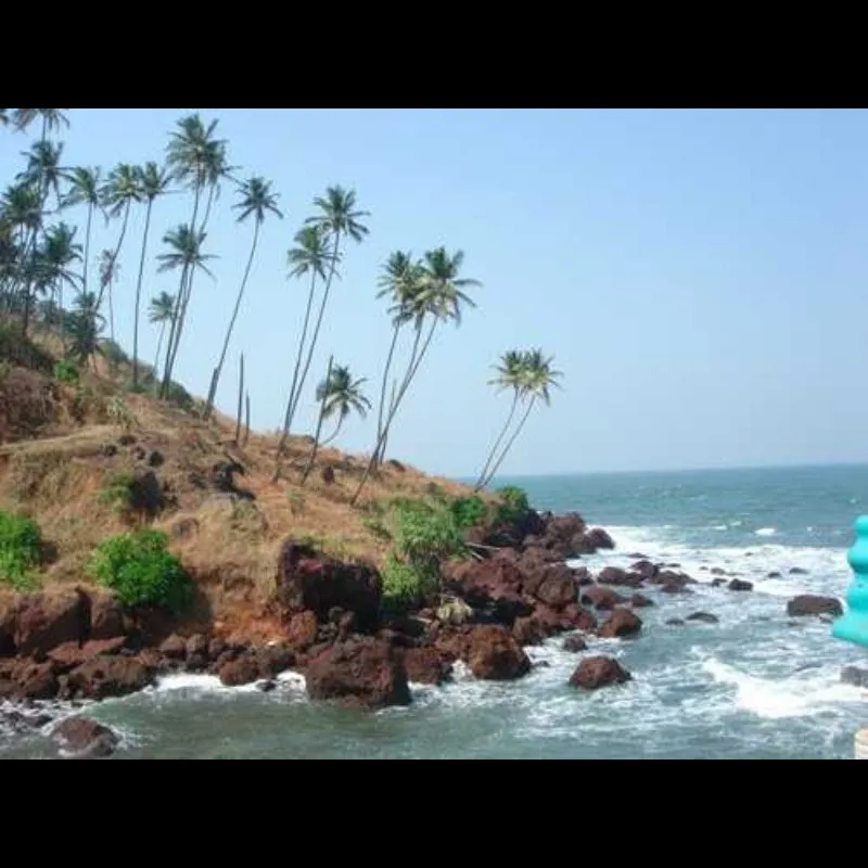 Places To Visit In Lakshadweep
Amindivi Islands
Amindivi Islands, Lakshadweep Overview
The Amindi...