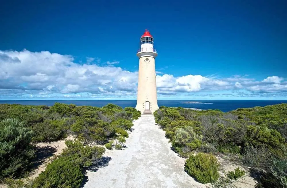 Places To Visit In Lakshadweep
Lighthouse, Minicoy Island
Lighthouse, Lakshadweep Overview
Perche...