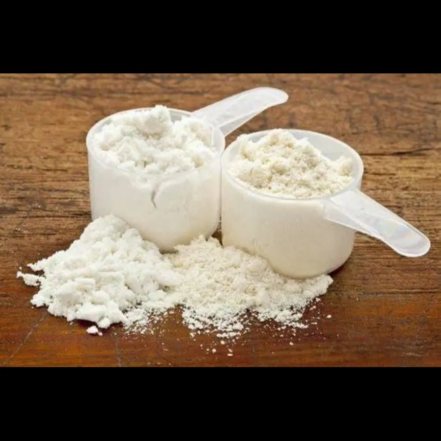 Whey Protein Concentrate 80% Supplier